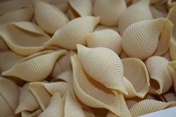 Concliclioni saumon ricotta