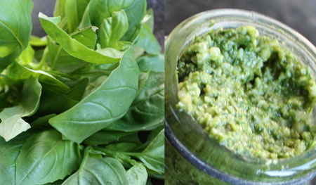 pesto basilic