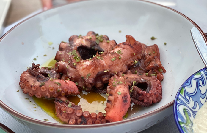 Octopus stifado 