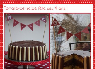 Mon gros gâteau vanille & chocolat