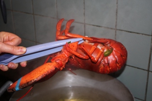 La cuisson du homard pas à pas