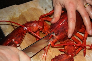 La cuisson du homard pas à pas