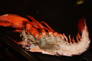 La cuisson du homard pas à pas