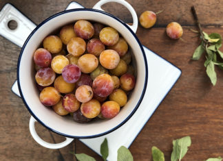 Mirabelles