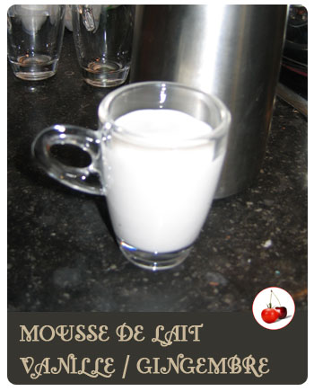 MOUSSE DE LAIT  VANILLE / GINGEMBRE