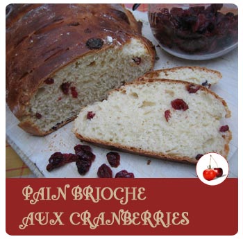 Pain brioche aux cranberries