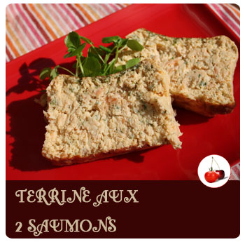 TERRINE AUX 2 SAUMONS