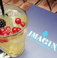 IMAGIN - Le jardin secret – Bar éphémère– Bombay Sapphire et Fever-Tree