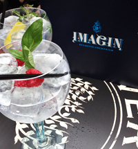 IMAGIN - Le jardin secret – Bar éphémère– Bombay Sapphire et Fever-Tree