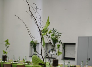 Décoration de table - Esprit nature et papillons