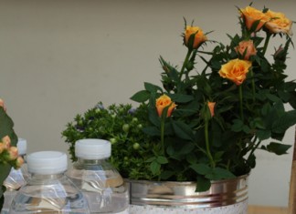 Décoration de table | Barbecue Party