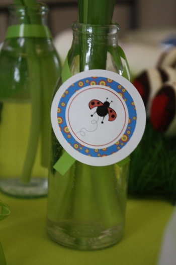 Décoration de table - Coccinelle