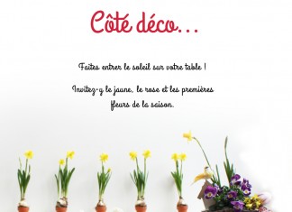 Les fleurs du printemps