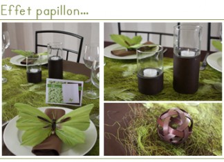 Effet papillon décoration de table