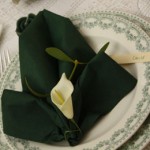 Décoration de table en vert et blanc & Pliage de serviette