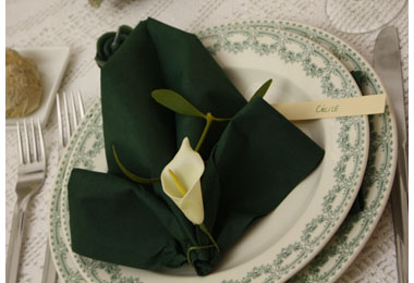 Décoration de table en vert et blanc & Pliage de serviette