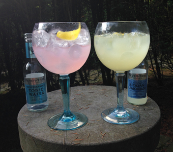 Bombay Sapphire & Fever Tree | IMAGIN 2015 Pop-up bar aux couleurs de l'été indien