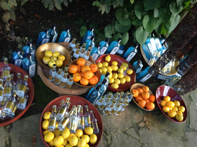 Bombay Sapphire & Fever Tree | IMAGIN 2015 Pop-up bar aux couleurs de l'été indien