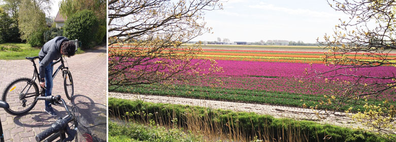 keukenhof