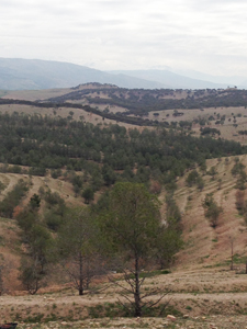 Plateau du Kik