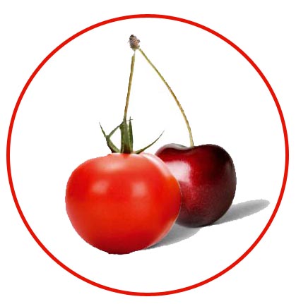 logo Tomate-Cerise.be