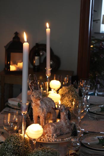 Noel Etoiles - Décoration de table 