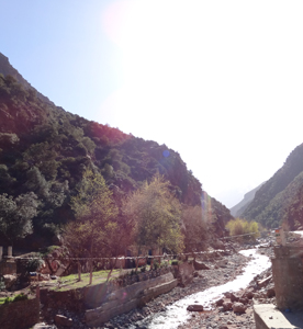 La vallée de l'Ourika