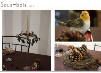 Décoration de table | Dans l'esprit sous-bois, automnal