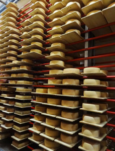 PROCESSUS DE FABRICATION : du lait au fromage, en passant par le savoir-faire du fromager