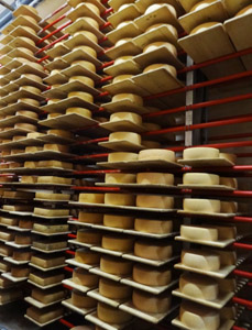 PROCESSUS DE FABRICATION : du lait au fromage, en passant par le savoir-faire du fromager