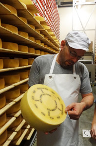 PROCESSUS DE FABRICATION : du lait au fromage, en passant par le savoir-faire du fromager