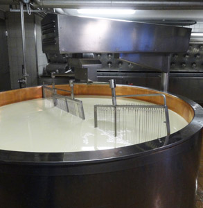 PROCESSUS DE FABRICATION : du lait au fromage, en passant par le savoir-faire du fromager