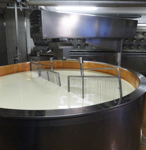 PROCESSUS DE FABRICATION : du lait au fromage, en passant par le savoir-faire du fromager