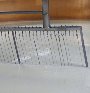 PROCESSUS DE FABRICATION : du lait au fromage, en passant par le savoir-faire du fromager