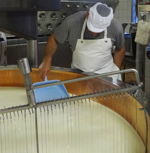 PROCESSUS DE FABRICATION : du lait au fromage, en passant par le savoir-faire du fromager