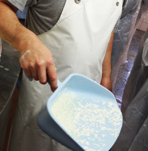 PROCESSUS DE FABRICATION : du lait au fromage, en passant par le savoir-faire du fromager