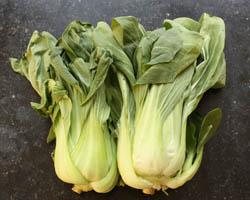 bok choy - chou chinois