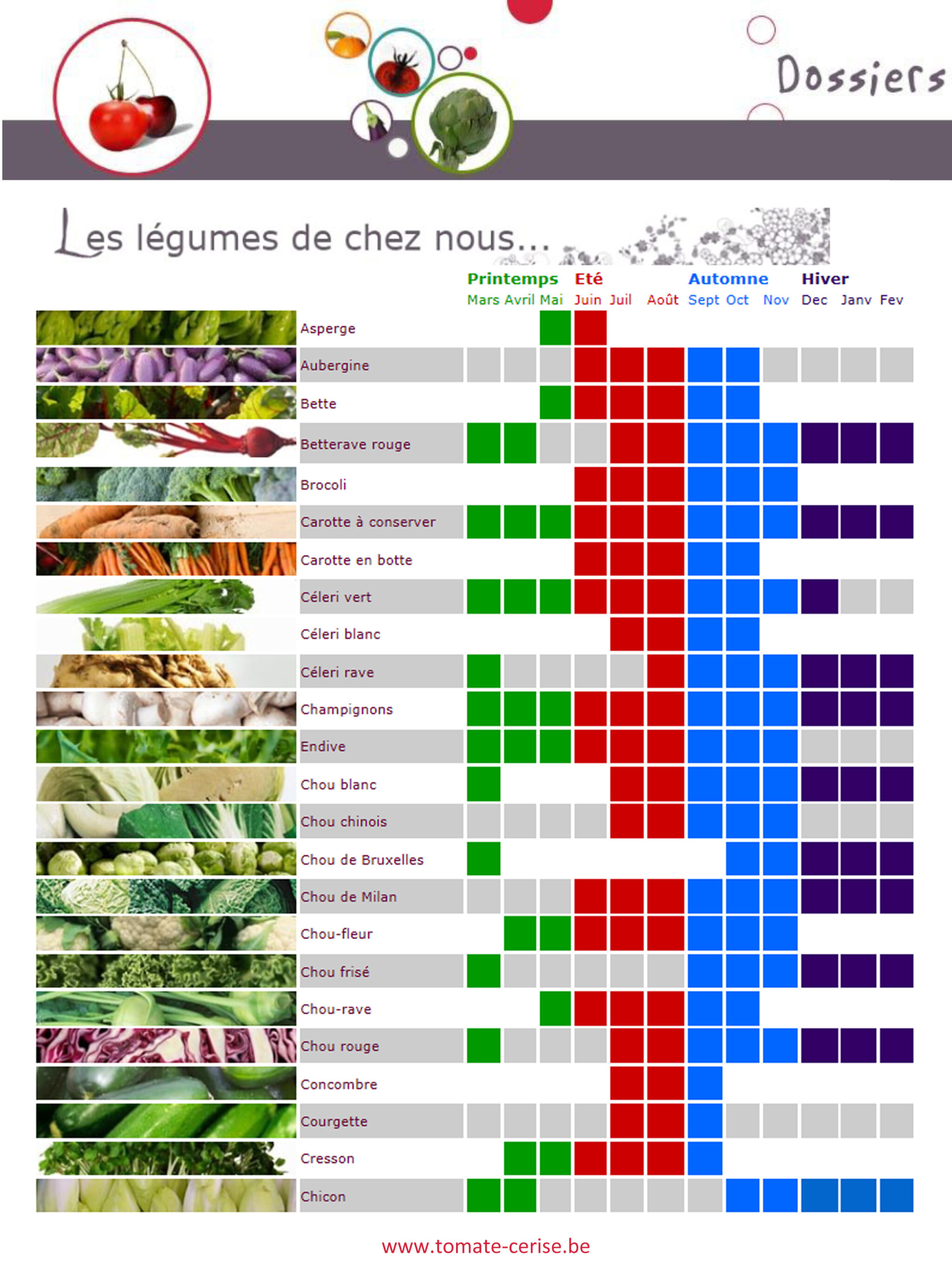 Calendrier des fruits et légumes de saisons - locaux ~ Dossier