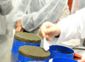 Le caviar