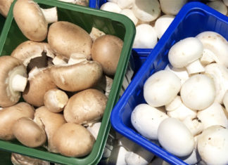 Champignon