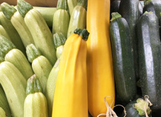 Courgette