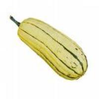 delicata