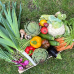 Fruits et légumes saison Belgique