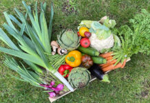 Fruits et légumes saison Belgique