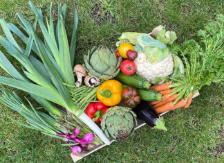 Fruits et légumes saison Belgique