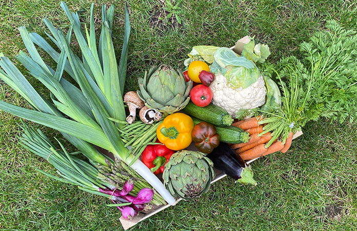 Fruits et légumes saison Belgique