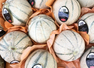 Melon