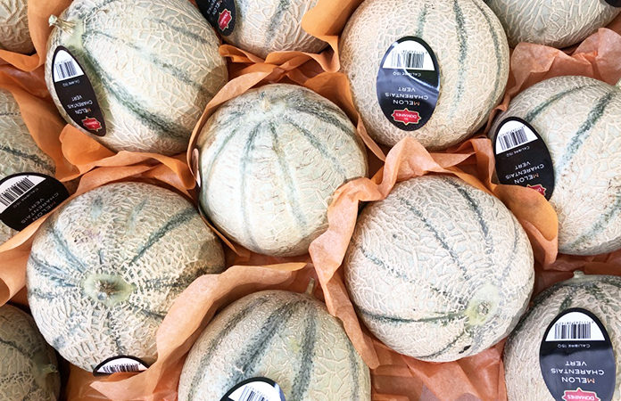 melon Melon