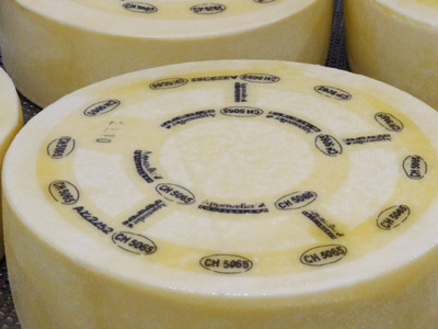 PROCESSUS DE FABRICATION : du lait au fromage, en passant par le savoir-faire du fromager