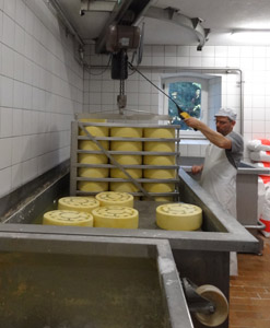 PROCESSUS DE FABRICATION : du lait au fromage, en passant par le savoir-faire du fromager
